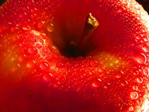 red apple apple fruit