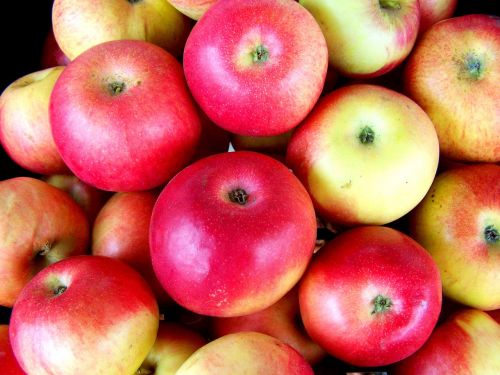 red apple fruit food