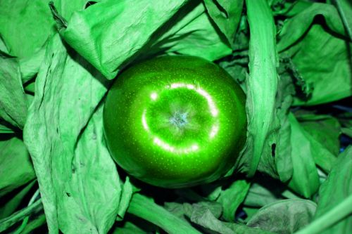 Red Apple Made Green