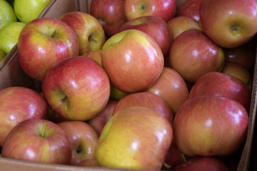 Red Apples For Sale