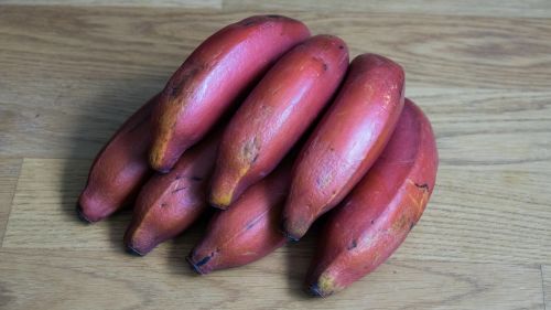 red banana banana fruit