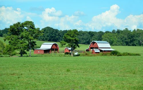 Red Barn