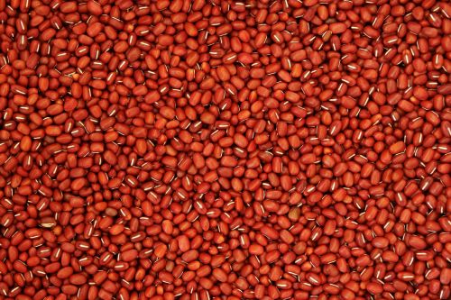red bean pattern texture