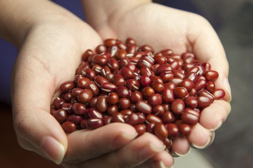 red beans hands corn variety