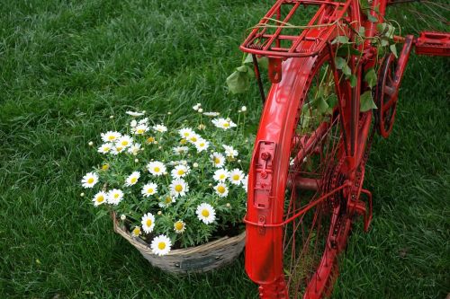 red bike basket daisy
