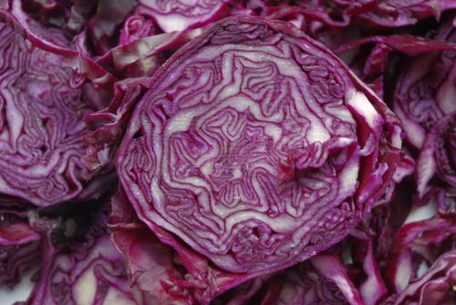 red cabbage vegetables kohl