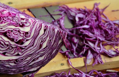 red cabbage vegetables cut