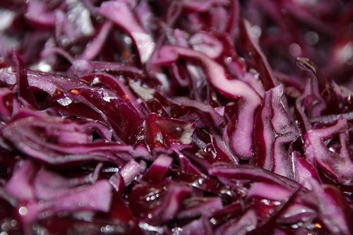 red cabbage  eat  w
