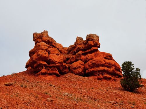 red canyon rock red