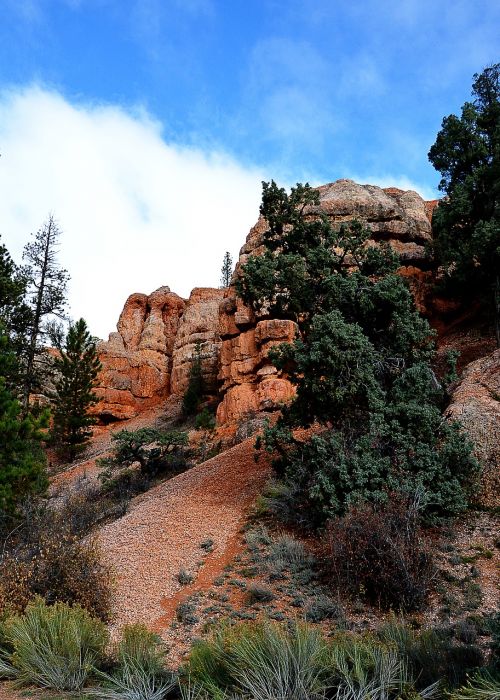 red canyon rock landscape