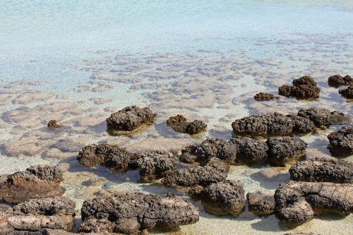 red caps australia stromatolit