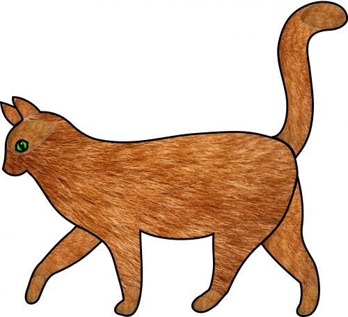 Red Cat Walking