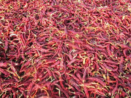 red chilly spices spicy