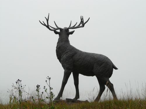 red deer bronze statue hirsch