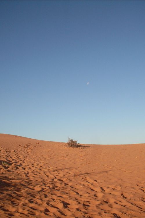 red dunes evening australia