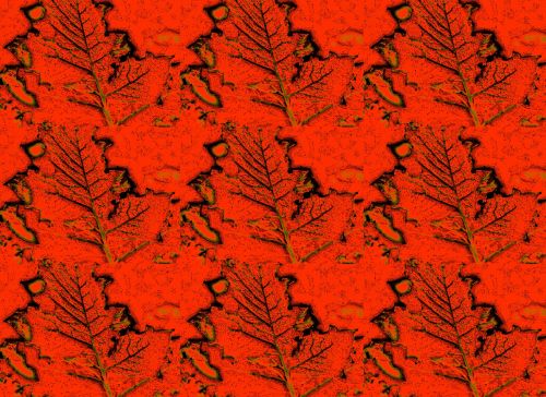 Red Etched Leaf Wallpaper