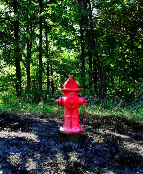 Red Fire Hydrant