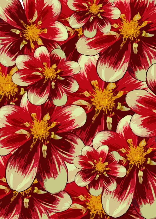 Red Flower Background