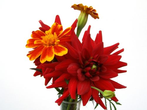 red flowers bouquet as lien