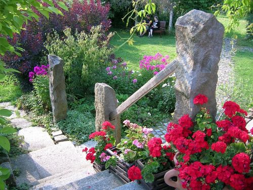 red flowers garden nature