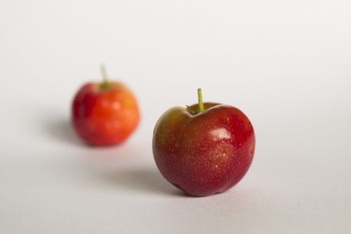 red fruit fruit frutas