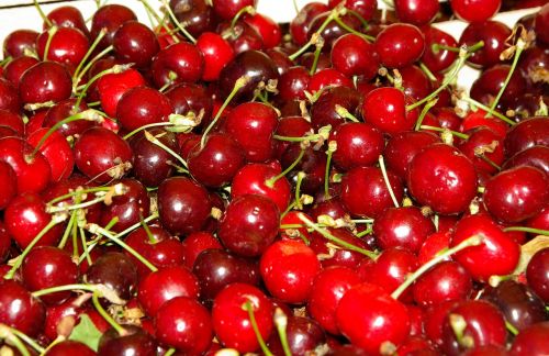 red fruits cherries cherry