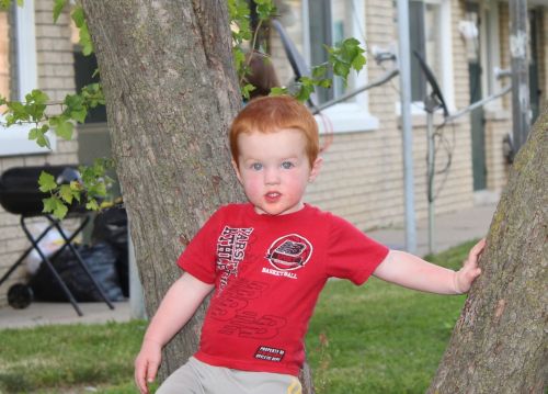 red hair boy little