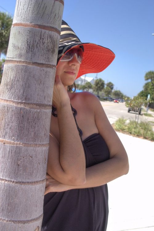 red hat palm tree vero beach