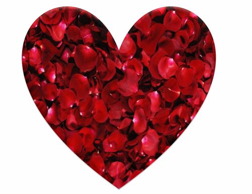 Red Heart Of Rose Petals