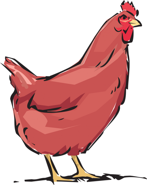 red hen animal farm