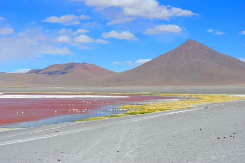 red lagoon bolivia lagoon