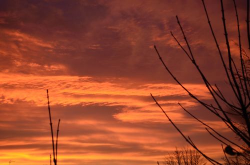 Red Morning Sky