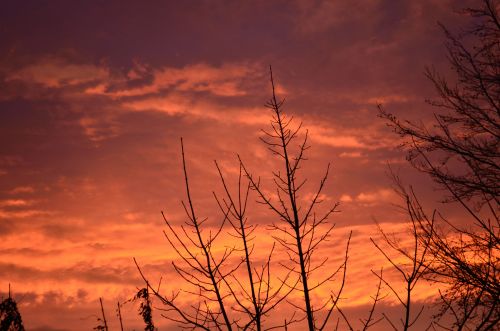 Red Morning Sky