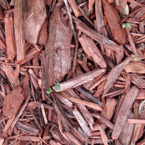 Red Mulch