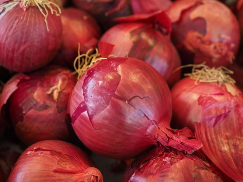 red onions vegetables vegetable onion onion