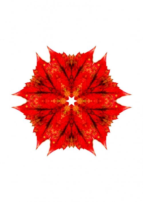 Red Patterned Kaleidoscope