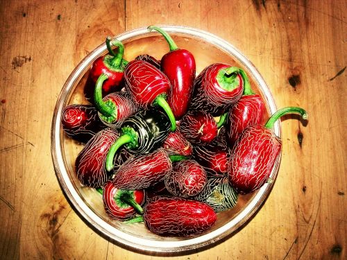 red pepper still life wood