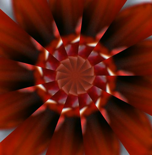 Red Pinwheel