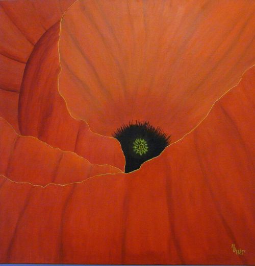 red poppy painting image