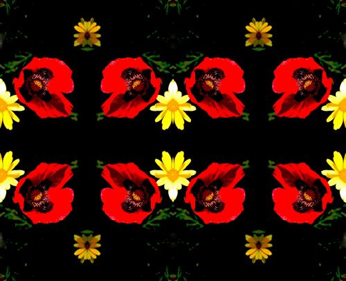 Red Poppy And Yellow Daisies
