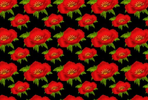 Red Poppy Backing Paper