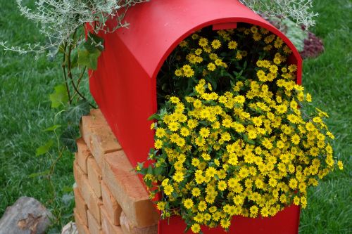 red postbox yellow flower flower exhibition