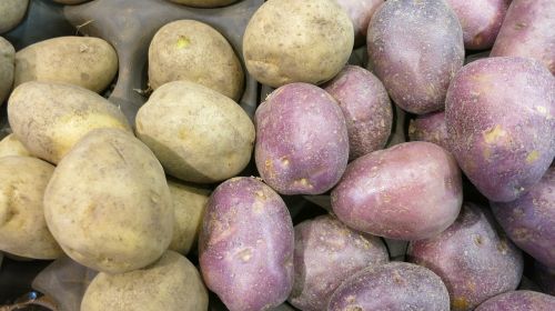 red potatoes russet varieties