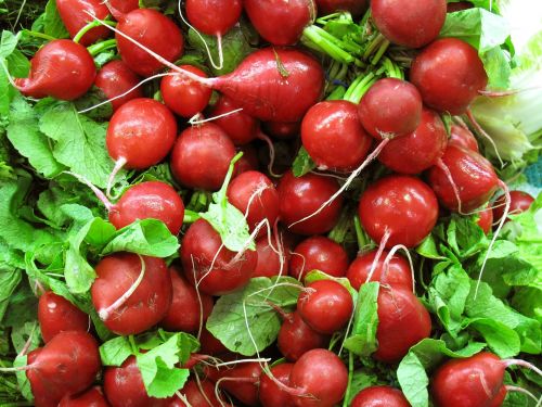 red radish vegetable salad