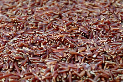 red rice  rice  healthy