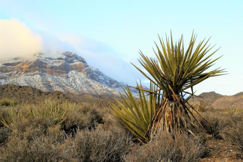 red rock mountains panorama