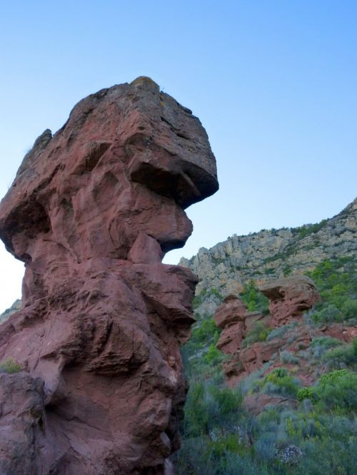 red rock sandstone head shape