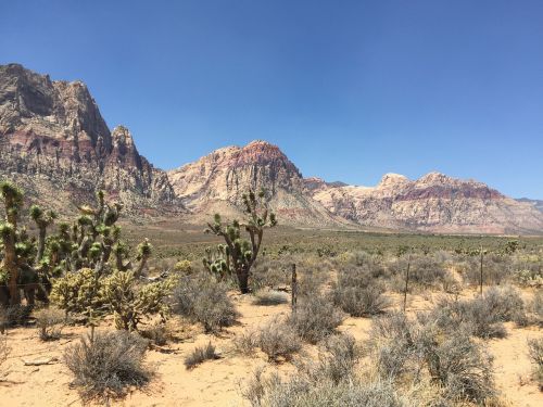 red rock canyon las vegas nevada