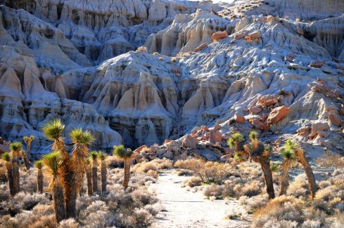 Red Rock Canyon