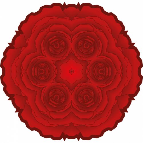 Red Rose 3